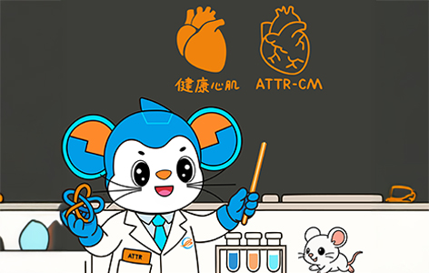 关注罕见 | 第三期：转甲状腺素蛋白淀粉样变性（Transthyretin Amyloidosis）