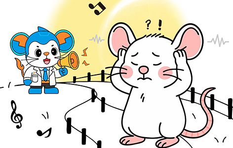 Focus on Rare Diseases | Issue 1: Non-Syndromic Hearing Loss (NSHL)​​