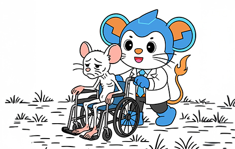 Focus on Rare Diseases | Issue 2: Duchenne Muscular Dystrophy (DMD)​​