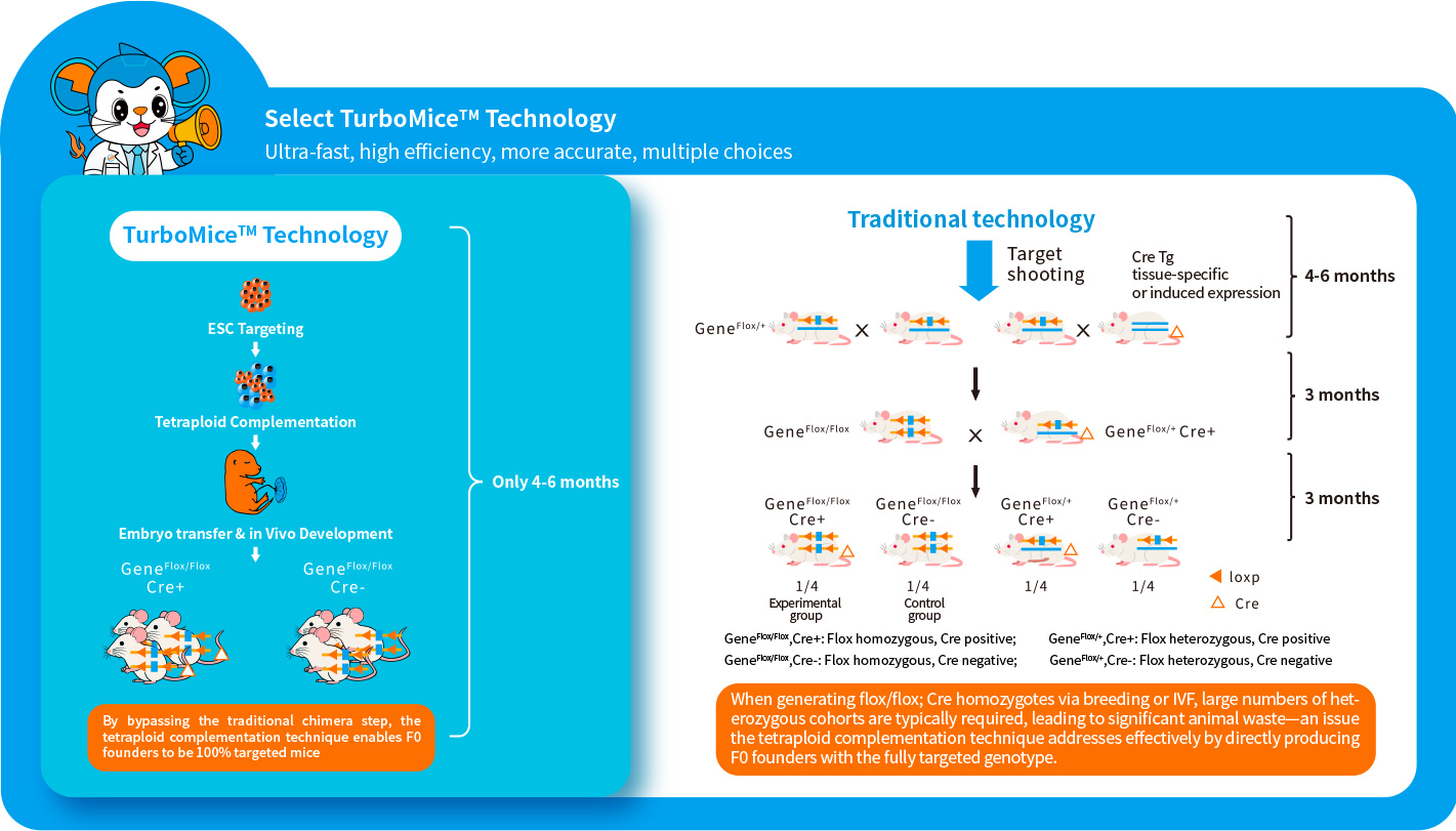 Conditional Knockout