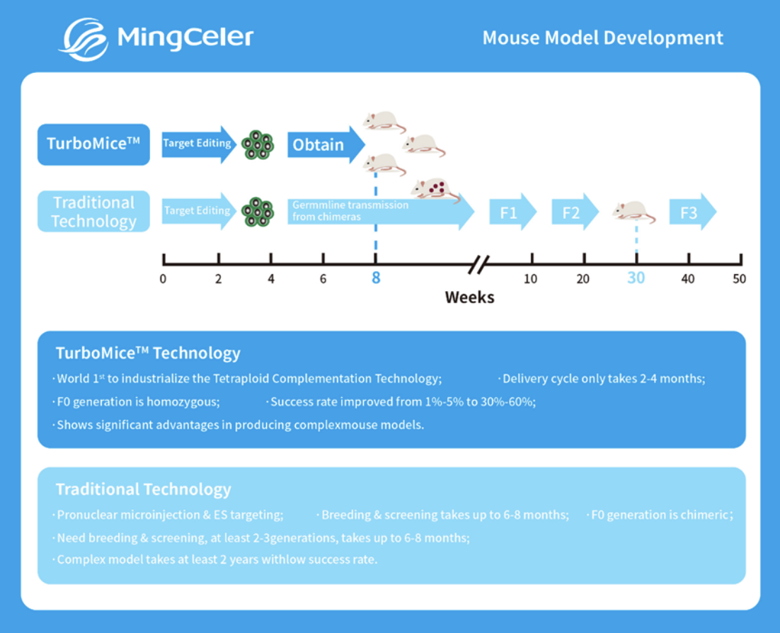 How to Generate Transgenic Mice