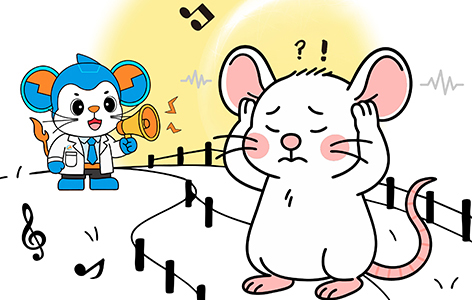 Focus on Rare Diseases | Issue 1: Non-Syndromic Deafness