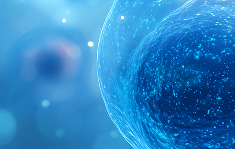 实验小鼠麻醉全攻略