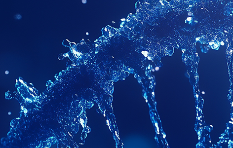 明迅生物祝贺合作伙伴锐正基因体内基因编辑药物ART001获美国FDA临床试验许可