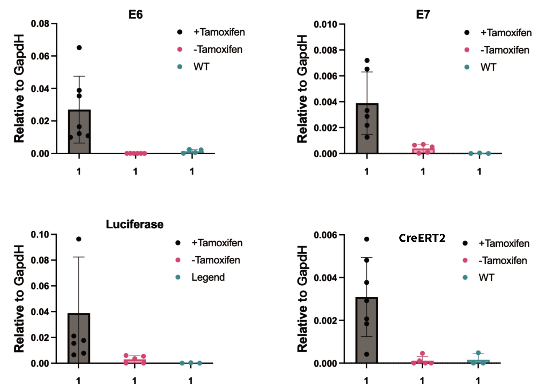 HPV16-E6/E7诱导前后的表达水平