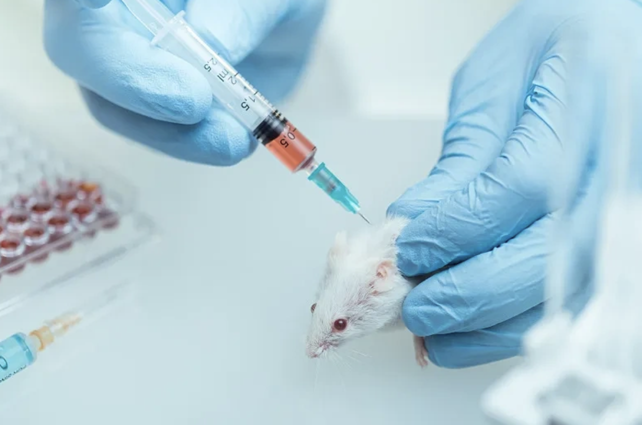 Comprehensive Guide to Laboratory Mouse Anesthesia