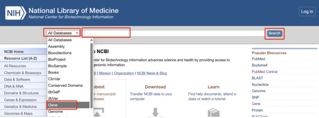 Struggling with Primer Design? A Step-by-Step Guide to Get It Right