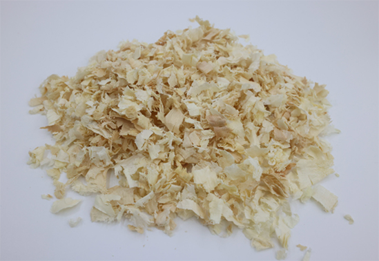 What to Do When Mice Are Pregnant? A Complete Guide to Gestation and Lactation Care