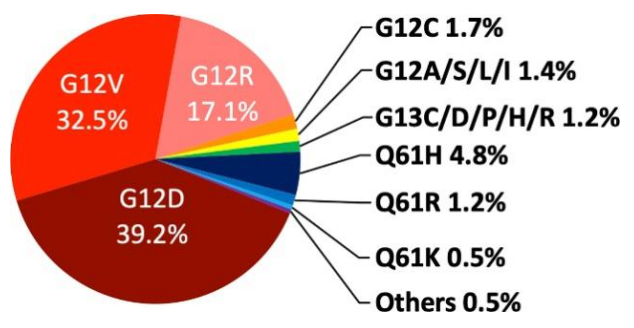 药靶前瞻 | ASCO 2026胰腺癌新药破局，明迅精准疾病小鼠模型加速RAS新药临床前验证