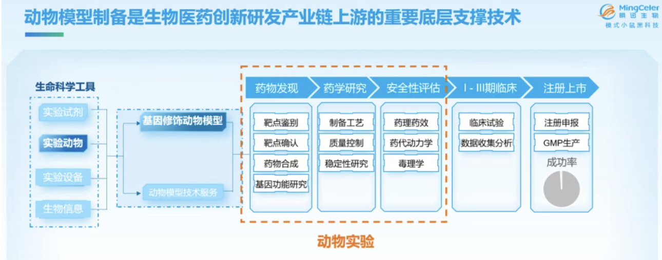 基因疗法为什么必须先在动物身上“试错”？ 基因疗法监管收紧：扎实的动物实验数据，已成临床研究的“入场券”